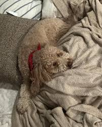 Aaron Rennaker (@aaronrennaker) • Instagram photos and videos