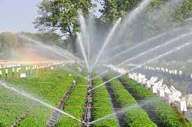Sprinkler Irrigation Advantages Disadvantages