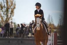 Harmon Classic Derby Mania — Tryon International