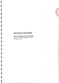 CÔNG TY CỔ PHẦN CAO SU PHƯỚC HÒA Cho năm tài chính kết ...