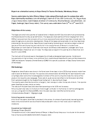 Image result for Synadenium pereskiifolium