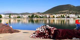 Check spelling or type a new query. Nea Artakh Eyboias New Artaki Of Evia Mapio Net