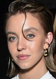 Max Steel Fan Casting