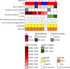 Cystic epithelial neoplasms of the ovaries. Well Differentiated Papillary Mesothelioma Of The Peritoneum Is Genetically Defined By Mutually Exclusive Mutations In Traf7 And Cdc42 Modern Pathology