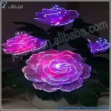 Maybe you would like to learn more about one of these? Led Light Fiber Optic Flower Led Light Fiber Optic Flower Suppliers And Manufacturers At Okchem Com