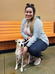 Marmalade has been adopted marmalade is a male orange tabby cat for adoption to a very loving home in or near kansas city missouri. Spcala To Close Pico Rivera Pet Adoption Center Spcala