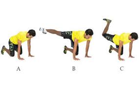 نتیجه تصویری برای تصاویر کشش عضله چهار سر