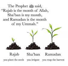 Have A Blessed Month Of Rajab Islamic Month Ramadan Quotes May Month Quotes