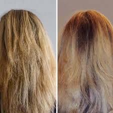 Wenn du deine haare mit honig aufhellen möchtest, brauchst du etwas geduld. Sie Reibt Kokosnussol In Ihre Haare Zwei Wochen Spater Erkennt Sie Sich Selbst Nicht Wieder Drndex Com Trockene Haare Kokosol Haare Haare Aufhellen