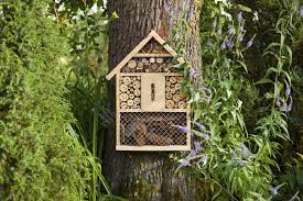 Insect hotel or insect refuge? Bug Hotel How To Make A Bug Hotel In 5 Easy Steps Insect Hotel