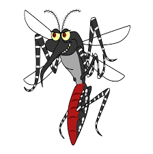 Orang yang membuat gambar kartun ini adalah kartunis, pada awalnya kartunis. Aedes Aegypti Kartun Ilustrasi Gambar Gratis Di Pixabay
