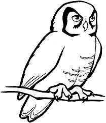 The owl coloring pages also available in pdf file that you can download for free. Free Printable Owl Coloring Pages For Kids