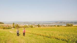 Cressier has about 1930 residents and an elevation of 437 metres. Cressier Fr Murten