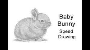 Use curved lines to outline a similar shape within the floppy the complete baby bunny drawing tutorial in one image. How To Draw A Rabbit Baby Video Step By Step Pictures