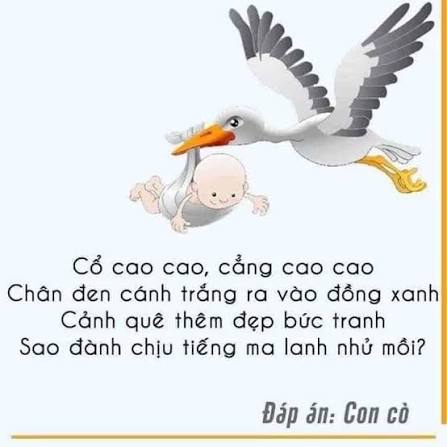 Câu đố về con vật cho trẻ mầm non rèn luyện tư duy