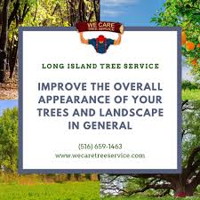 Services for the tree in bellmore, ny are highly in demand. Pin On Long Island Tree Removal
