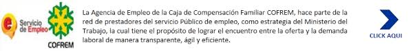 Los servicios autonómicos de empleo se encargan, entre otras cosas, de las políticas activas de empleo (formación, orientación laboral, intermediación, etc), aunque en este momento por la crisis del coronavirus, algunas de estas actividades están limitadas por las restricciones de movilidad y aforo. Ofertas Laborales