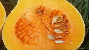 Butternut Squash Wikiwand