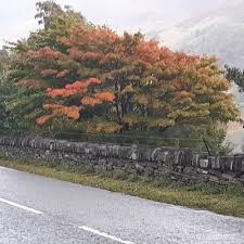 Lorraine parry (@parrylorraine1)