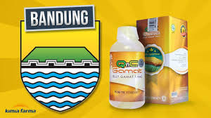 Pt kimia farma purwakarta : Beli Qnc Jelly Gamat Di Apotek Kimia Farma Bandung Alamat Lengkap Lokasi Youtube