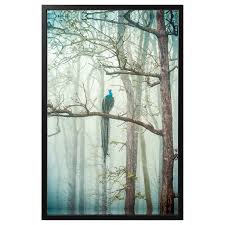 Bjorksta Picture And Frame Peacock Black Ikea Hanging Art Big Art Frame