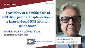 Annette Kaminaka (@AnnetteKaminaka)