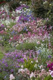 Yard And Garden Design Ideas Cottage Garden Borders Cottage Garden Cottage Garden Design
