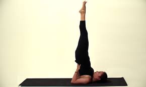 We did not find results for: 5 Yoga Inversions For Beginners Doyou