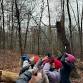 Boxing Day Bird Count event in Unionville, CT