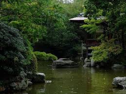 Zen Des Papillons Jardin Japonais Photo Japon Cascade De Jardin