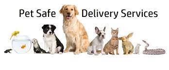 They ship an incredibly wide assortment of animals, so whether you own a dog, cat, turtle, or rabbit, airpets will help you get your pet where you need it to go. Pet Safe Delivery Service Home Facebook
