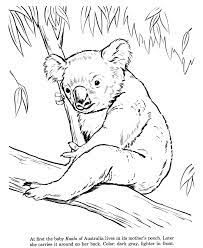 54 Animal Drawing 01 Gif 670 820 Bear Coloring Pages Animal Drawings Animal Coloring Pages