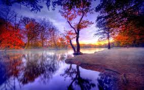Download hd 1920x1080 wallpapers best collection. Neueste Full Hd Wallpaper Herunterladen Tapete Hd Kostenlos 1920x1200 Wallpapertip