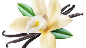 Check spelling or type a new query. Garden Q A Is It Worth The Trouble To Grow Vanilla