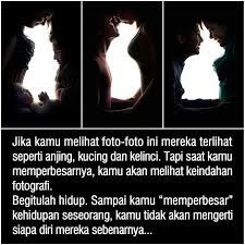 Kata kata sindiran cinta, lucu, mantan, pacar, teman, menyakitkan. Jangan Menilai Orang Dari Luar Nya Saja Kata Kata Indah Kata Kata Kutipan Terbaik