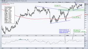 A Rejuvenated Regeneron Leads Biotech Group Dont Ignore