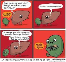 Por Que Recomiendan Una Dieta Baja En Grasa Si Tenemos Piedras En La Vesicula Tu Lo Sabes Comics Graciosos Imagenes Divertidas Vesicula