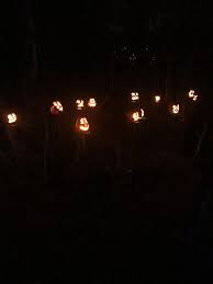 Part Of The Carved Pumpkins For The Minnesota Zoo Jack O Lantern Spectacular 2018 Jack O Lantern Spectacular Pumpkin Carving Jack O Lantern