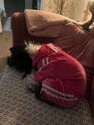 Profile for Dexter Kay