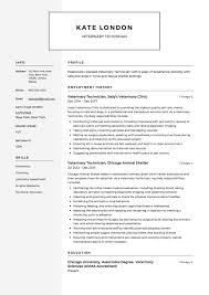We decided to list all veterinary assistant duties and responsibilities that he/she has to perform during one day. Guide Veterinary Technician Resume 12 Samples Pdf 2020