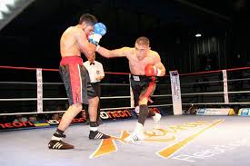 Bruno miguel costa monteiro tavares. Swissboxing News