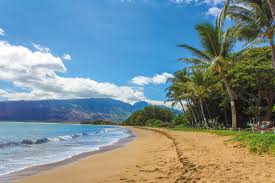 Honolulu scuba diving offers the opportunity to dive into the crystal blue waters. The Ultimate Guide To Spearfishing In Hawaii Spearoscout
