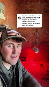 Essential Tips for Raising Healthy Baby Chicks