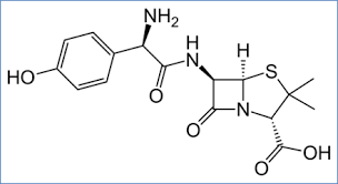 Image result for Amoxicillin
