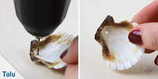 Sie alle seien zwar schwer vorerkrankt gewesen. Basteln Mit Muscheln 4 Tolle Ideen Zur Deko Talu De