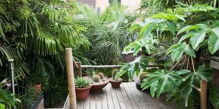 Some final notes on how to grow tropical plants in your area: 10 Tropical Plants You Can Grow In The Uk