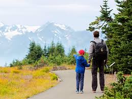 Maybe you would like to learn more about one of these? Olympic National Park Day Tour From Seattle With Bainbridge Island Ferry Tours Activities Fun Things To Do In Seattle Usa Veltra