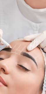 Treatments & Training