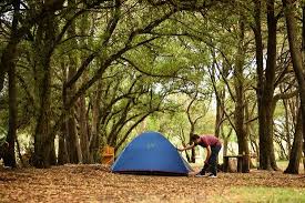 Dos viñedos aportan las excepcionales uvas para los vinos de arboleda en el valle de aconcagua, chilhué y las vertientes. Frondosa Arboleda Y Mucha Tranquilidad Picture Of Camping El Rancho Miramar Tripadvisor