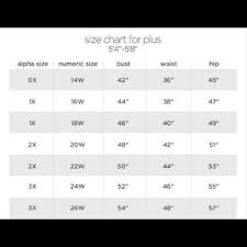 St John Knits Size Chart Www Bedowntowndaytona Com